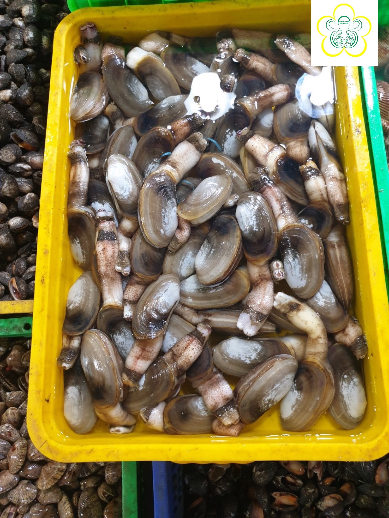 Thủy hải sản - Công Ty TNHH Hồng Anh Seafood